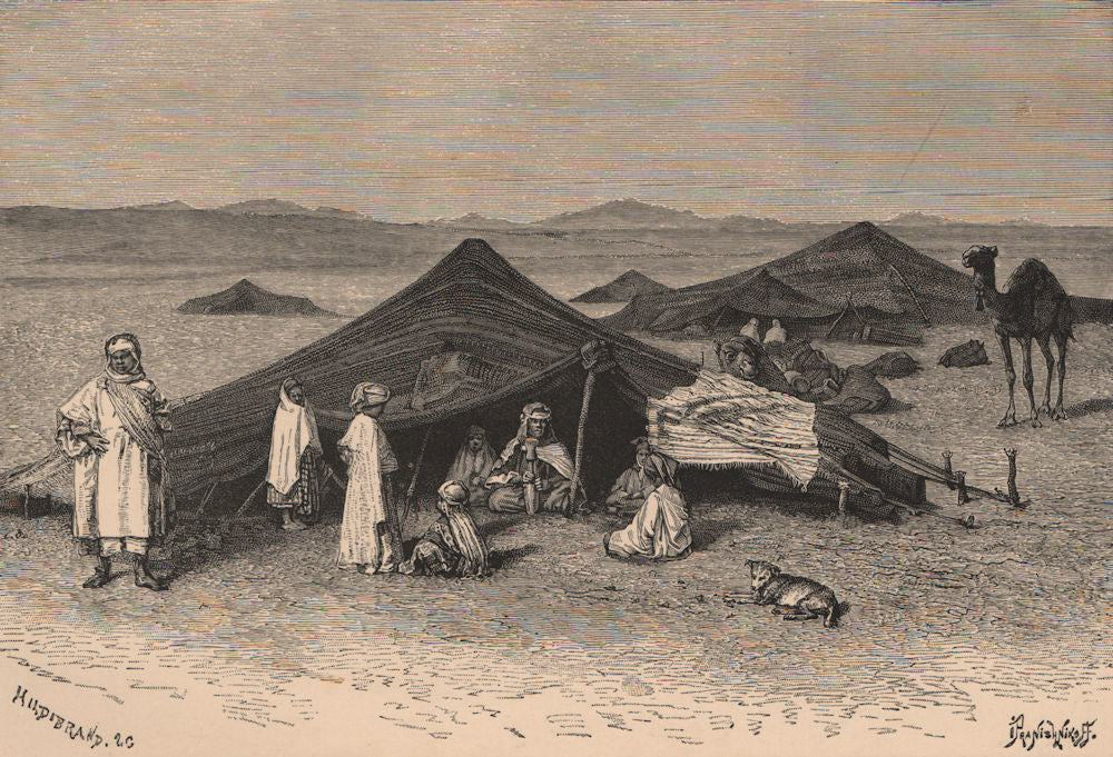 Saharan landscape. Nomad encampment. Algeria 1885 old antique print picture